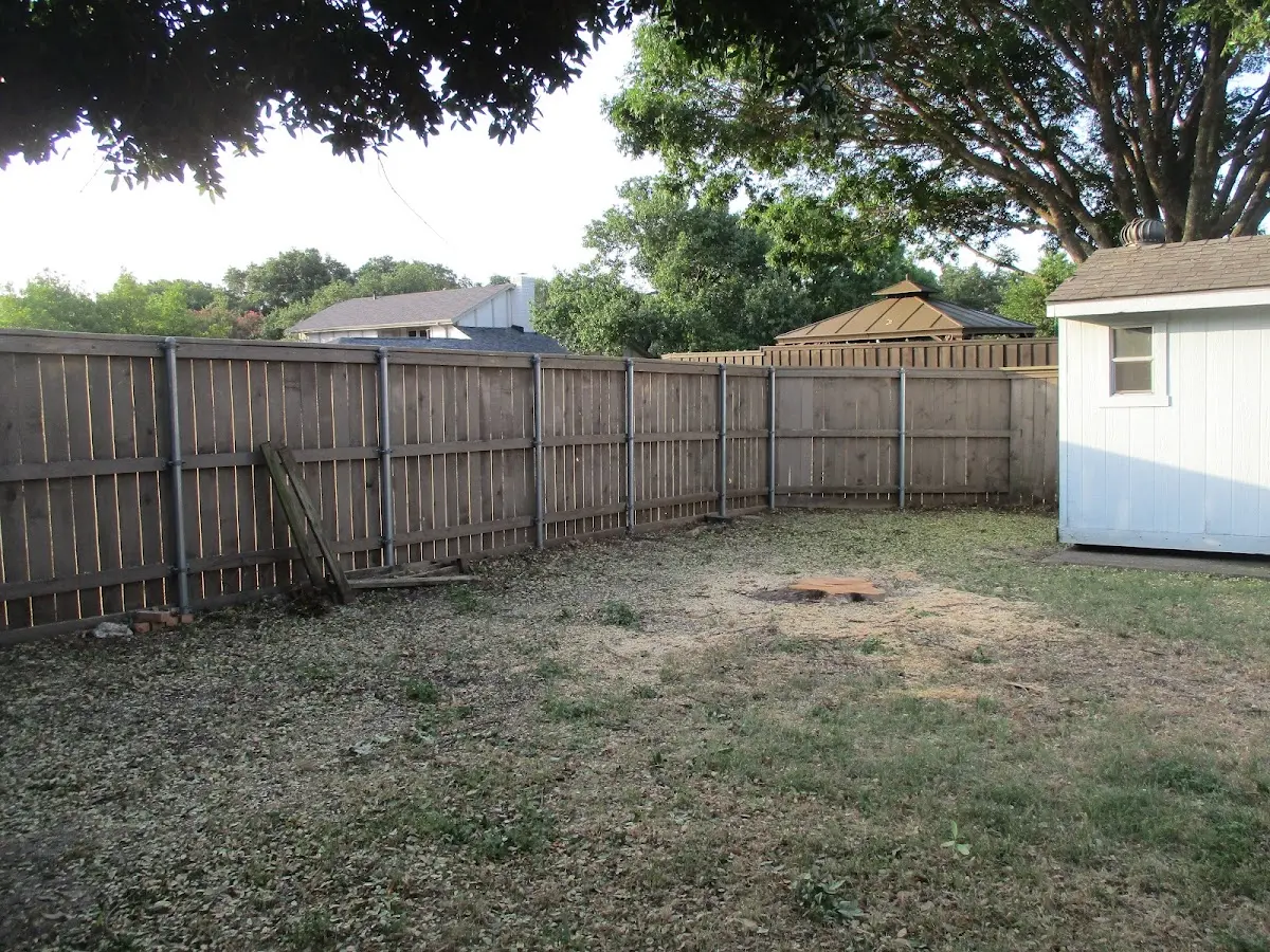 Cleared yard after professional tree removal in Elrama